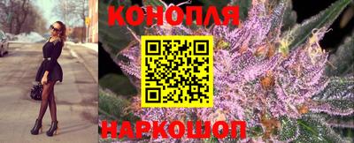 спиды Дубна