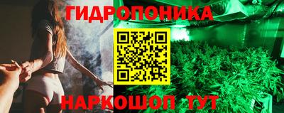 спиды Дубна