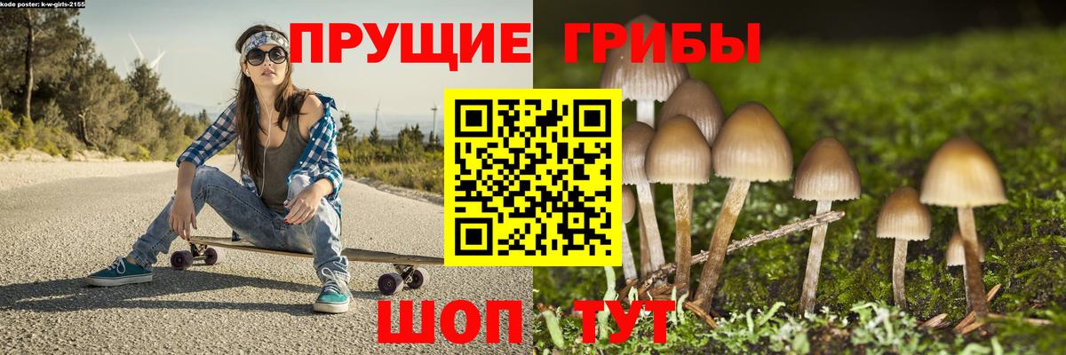 Галлюциногенные грибы Cubensis  Псилоцибиновые грибы Psilocybine cubensis  Вход с VPN  Нижневартовск 